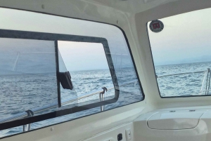 Izola: rejs wycieczkowy łodzią do Strunjan i Piranu z napojami