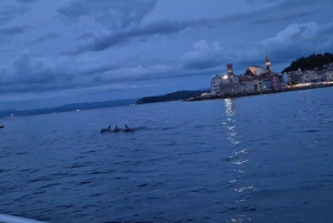 Izola: rejs wycieczkowy łodzią do Strunjan i Piranu z napojami