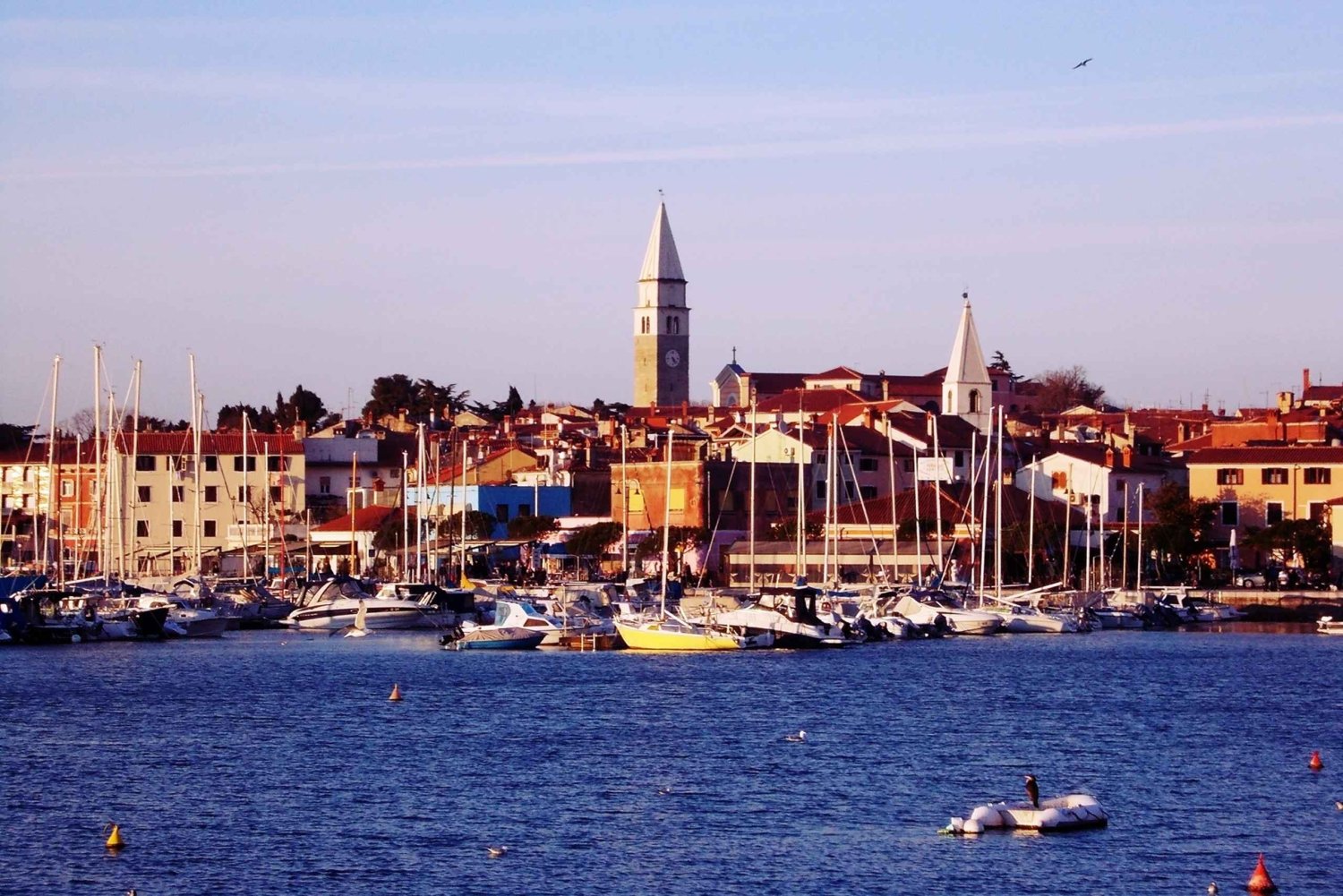 Izola: Privat vandringstur med lokal guide