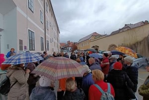 Kamnik : Visite guidée de la ville avec boisson