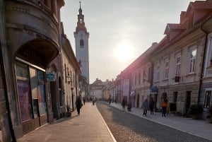 Kamnik: Geführte Stadtführung mit Getränk