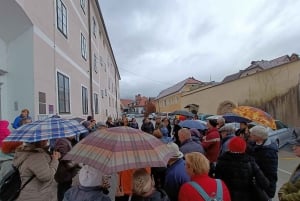 Kamnik: Geführte Stadtführung mit Getränk