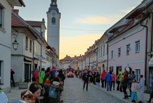 Kamnik: Geführte Stadtführung mit Getränk