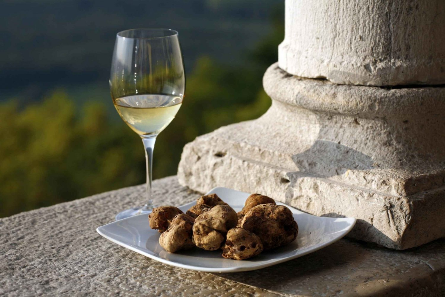 Koper: smaken van Istrië Tour naar Hum, Grožnjan en Motovun