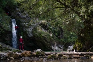 Lago di Bled: Avventura in canyoning con filmato gratuito
