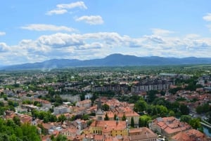 Ljubljana en het meer van Bled: bustour van een hele dag vanuit Triëst