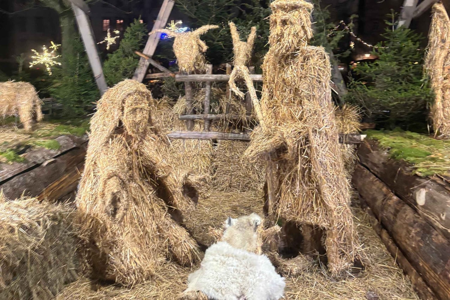 Ljubljana: Rundgang durch den Weihnachtsmarkt und die Lichter