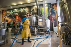 Lubiana: Tour della birra artigianale