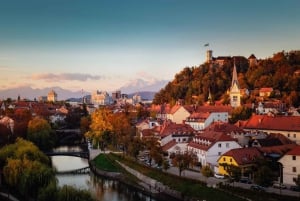 Ljubljana: Express Walk with a Local in 60 minutes