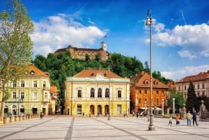 Ljubljana: Express wandeling met een local in 60 minuten