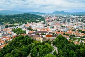Ljubljana : Promenade express avec un habitant en 60 minutes