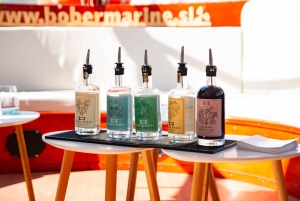 Liubliana: Passeio de barco com degustação de gin no rio Ljubljanica