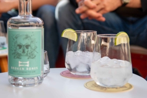 Liubliana: Passeio de barco com degustação de gin no rio Ljubljanica