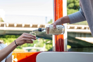 Liubliana: Passeio de barco com degustação de gin no rio Ljubljanica