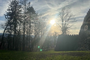 류블랴나: 그린 투어 및 포레스트 개인 체험