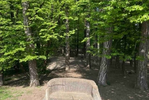 류블랴나: 그린 투어 및 포레스트 개인 체험