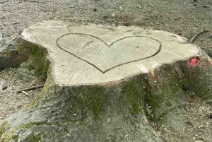 류블랴나: 그린 투어 및 포레스트 개인 체험