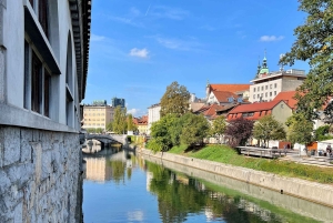 リュブリャナ歴史的旧市街 – プライベート＆ご家族向けツアー
