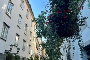 リュブリャナ歴史的旧市街 – プライベート＆ご家族向けツアー