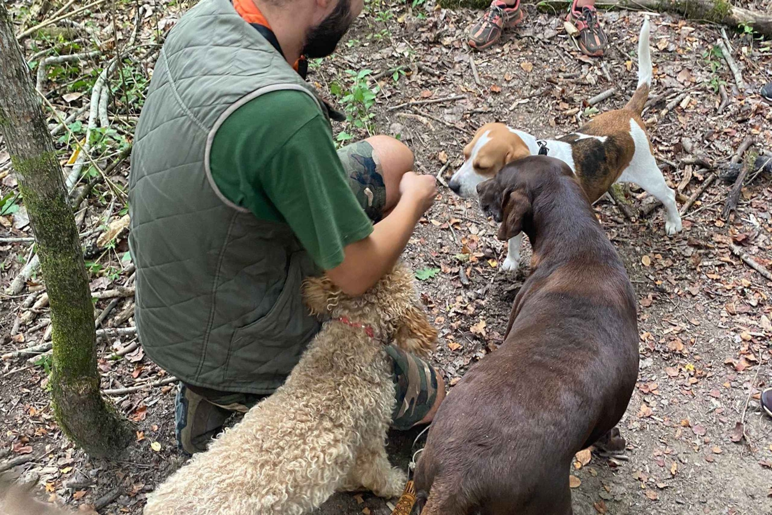Ljubljana: Istrian tryffelien metsästysretki paikallisten metsästäjien kanssa