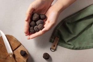 Lubiana: tour alla ricerca dei tartufi in Istria con cacciatori locali