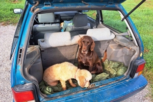 Ljubljana: Istrian tryffelien metsästysretki paikallisten metsästäjien kanssa