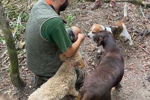 Ljubljana: Istrian tryffelien metsästysretki paikallisten metsästäjien kanssa