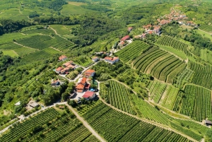 Ljubljana: Karst and Goriška Brda Tour with Lunch & Tastings