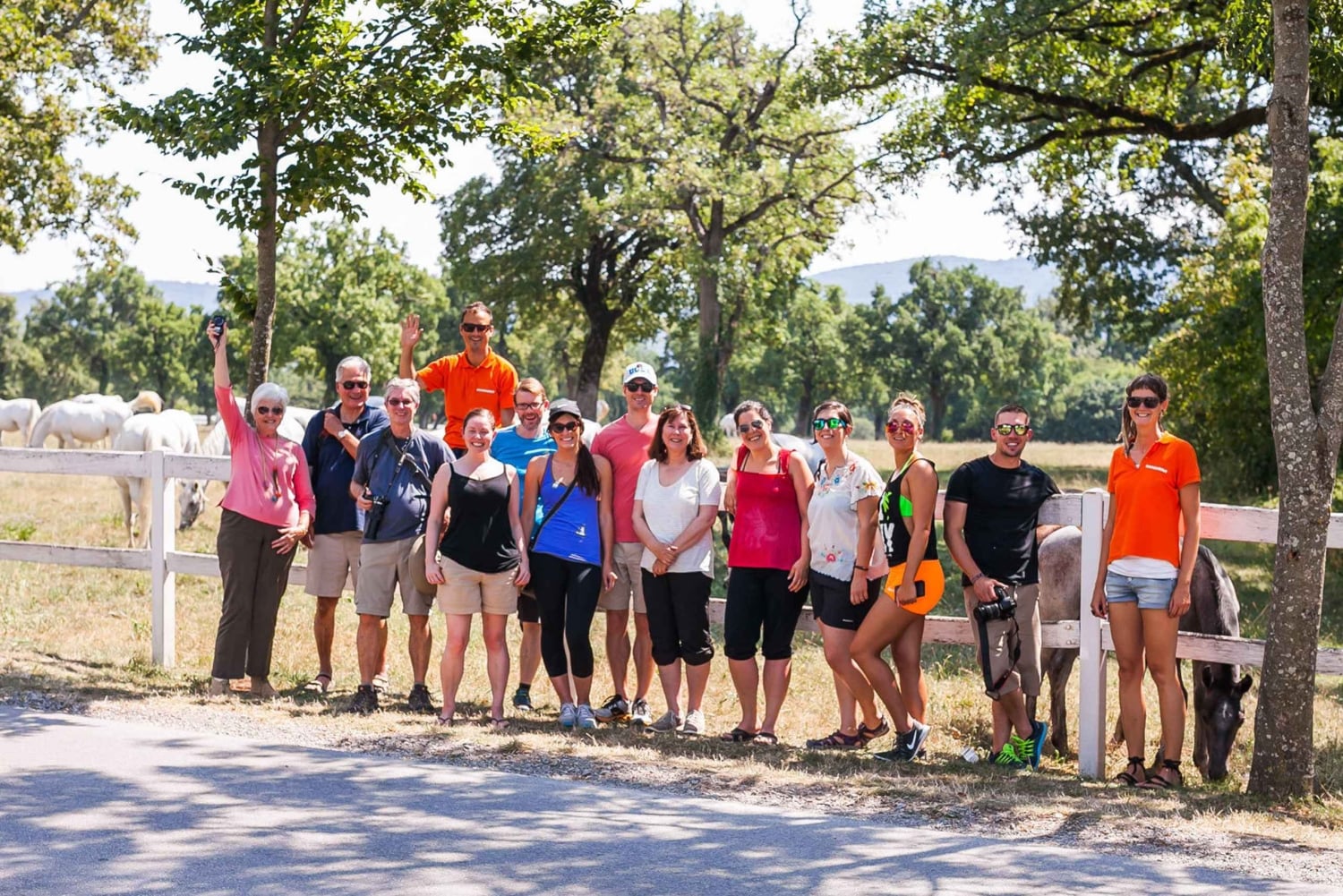 Ljubljana: Viagem de 1 dia ao Karst e à Costa