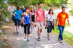 Lubiana: Escursione di un'intera giornata sul Carso e sulla costa