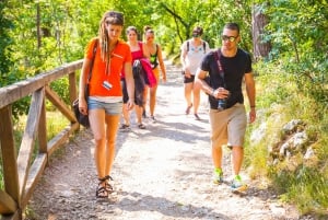 Ljubljana : Excursion d'une journée dans le karst et sur la côte