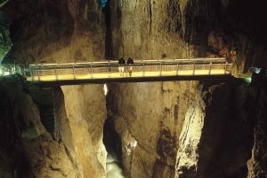Ljubljana: Viagem de 1 dia ao Karst e à Costa