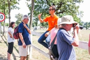 Ljubljana: Viagem de 1 dia ao Karst e à Costa