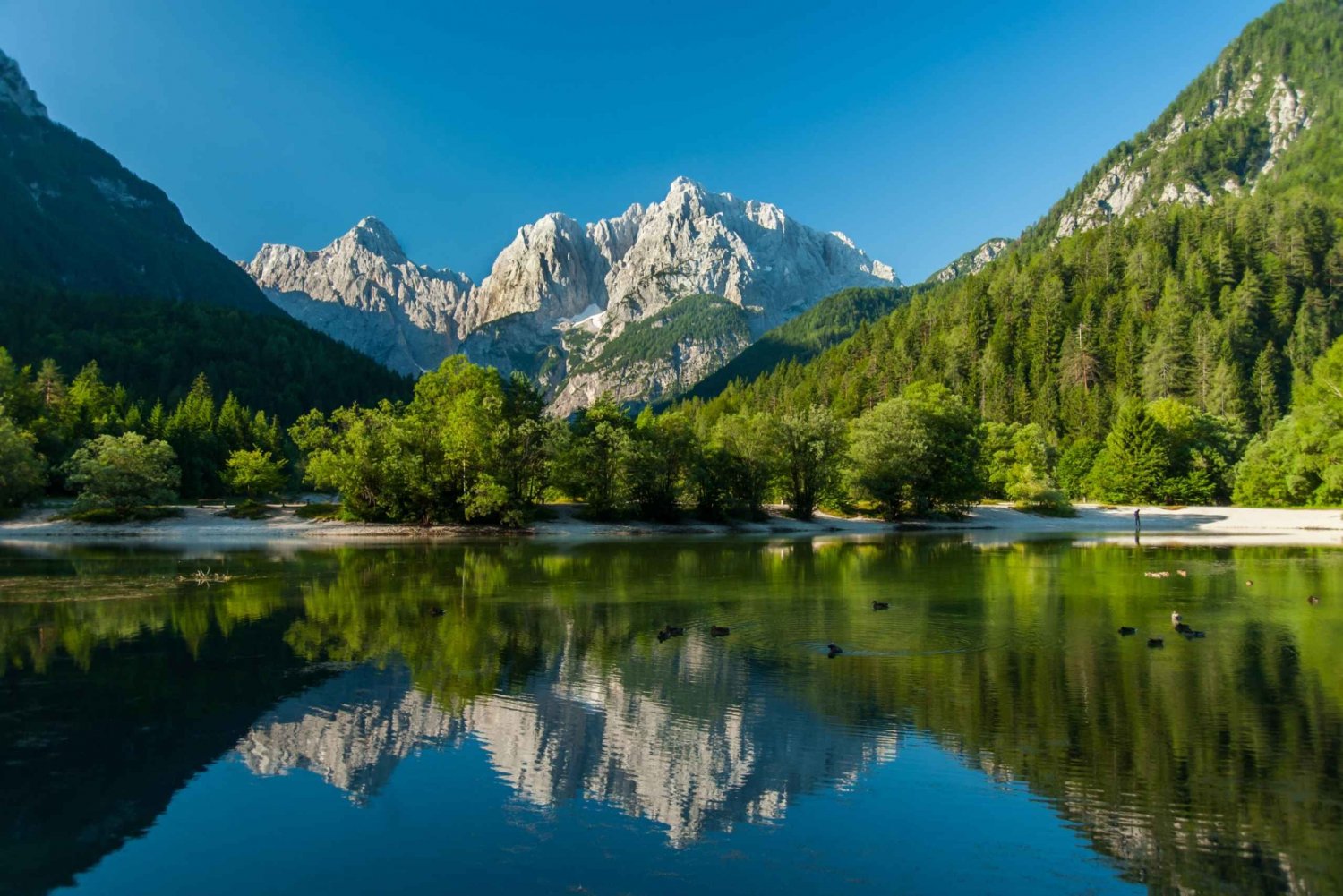 Lublana: Kranjska Gora i Alpy