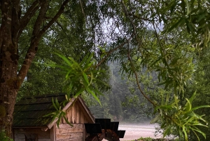 Ljubljana: Lake Bled, Bohinj, and Jasna Day Trip