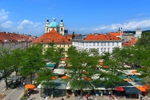 Ljubljana: Markedstur med frokost