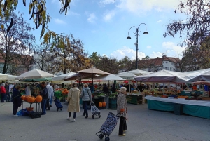 Ljubljana: Guidet vandring i gamlebyen på fransk