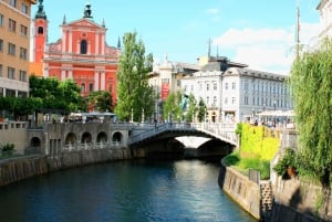 Lubiana: Tour privato dell'architettura con un esperto locale