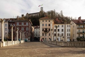 Lubiana: Tour privato dell'architettura con un esperto locale