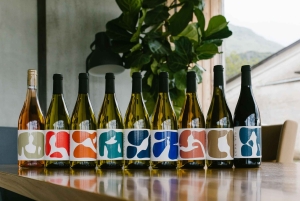 Ljubljana: viagem privada de degustação de vinhos em vinhedos de propriedade familiar