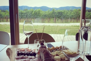 Ljubljana: viagem privada de degustação de vinhos em vinhedos de propriedade familiar