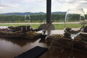 Ljubljana: viagem privada de degustação de vinhos em vinhedos de propriedade familiar