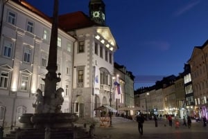 Ljubljana: Private geführte Städtetour