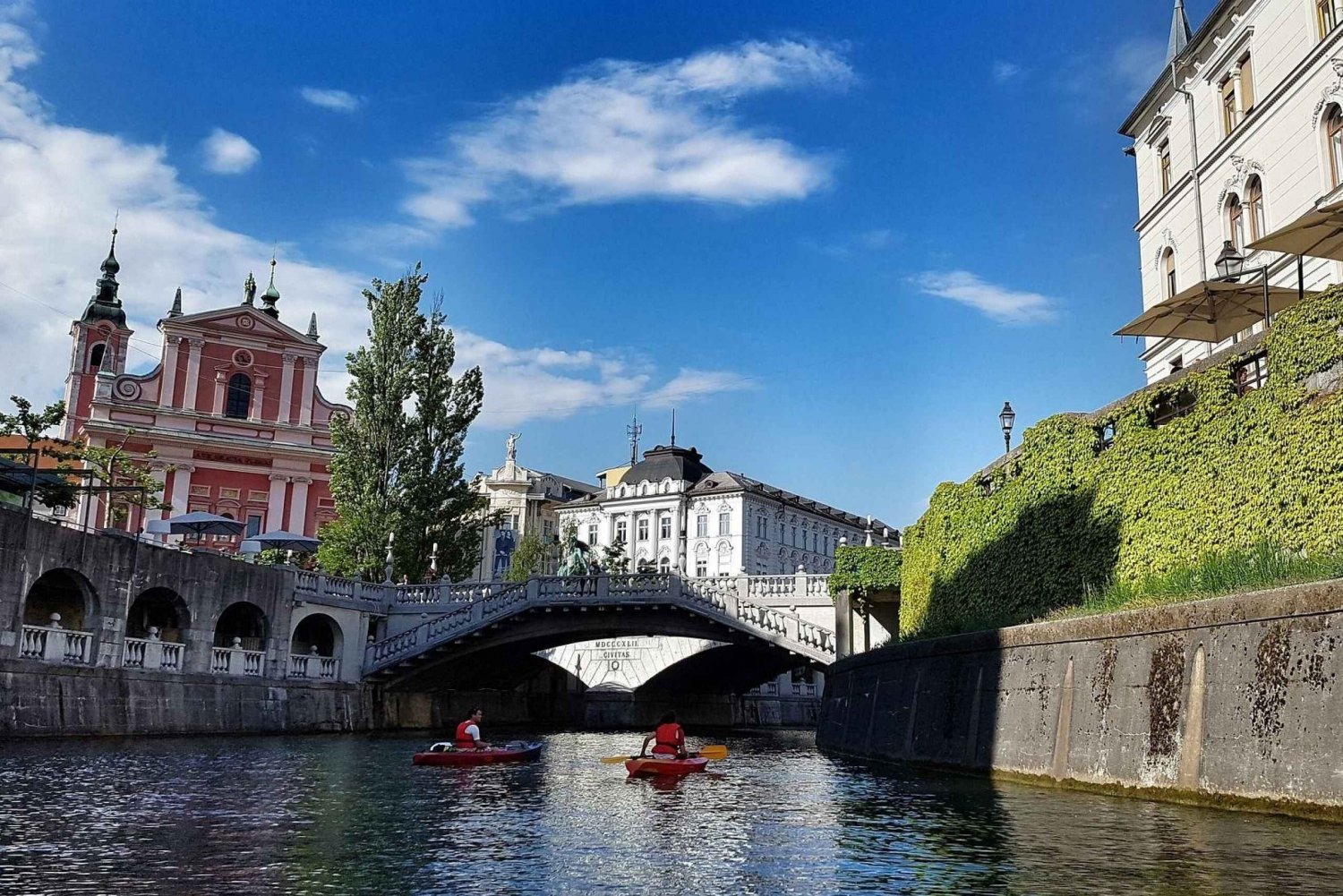 Liubliana: Tour a pie guiado privado