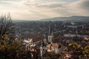 Ljubljana: Excursão a pé guiada particular