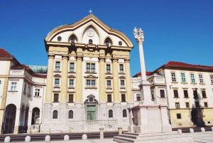 Ljubljana: Private Guided Walking Tour