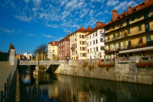Ljubljana: Private Tour with a Local