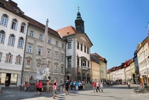 Liubliana: Visita privada a pie del casco antiguo