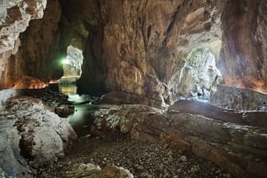 Liubliana: Excursão às cavernas de Škocjan, Rakov Škocjan e pântanos