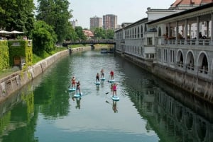 Lubiana: tour di stand-up paddle boarding